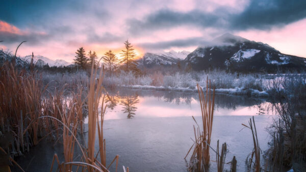 Wallpaper Lake, Reflection, Winter, With, Greenery, Snow, Landscape, Mountains, Trees, Covered, Fog, View