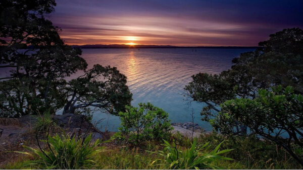 Wallpaper Bushes, Green, Plants, Landscape, Sunset, Ocean, Mountain, During, And, Grass, Trees, Nature, View