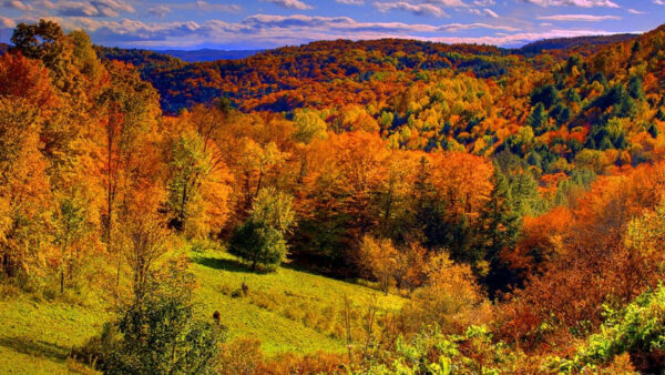 Wallpaper Blue, Mountains, Colorful, Fall, Under, Forest, Clouds, Slope, White, Autumn, Leaves, Sky