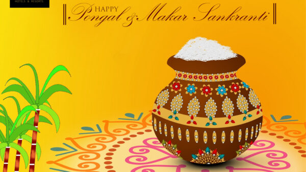 Wallpaper Pongal, Makar, Sankranti, Yellow, Happy, Background