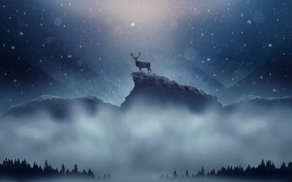 Wallpaper Deer, Christmas, Snowfall