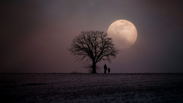 Wallpaper Father, Child, Moon, Images, Pc, Backgrounds, Cool, 4k, Desktop, Sky, Tree