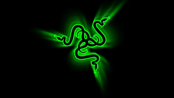 Wallpaper Green, Razer, Black, Logo, Desktop, Background