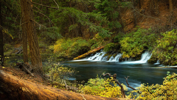 Wallpaper River, Oregon, And, Mobile, Waterfall, Desktop, Nature, Forest