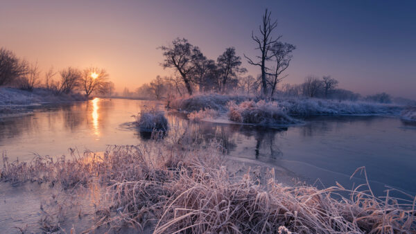 Wallpaper During, River, Grass, And, Trees, Desktop, Nature, Sunrise, Frost