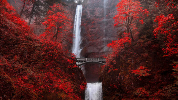 Wallpaper Red, River, Desktop, National, Between, Mountains, Nature, Autumn, Trees, Bridge, Area, With, Covered, Waterfalls, Background, Gorge, Columbia, Scenic