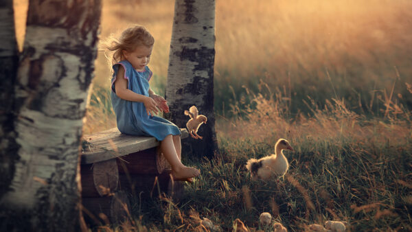 Wallpaper Girl, Dress, Little, With, Playing, Blue, Cute, Hens, Wearing