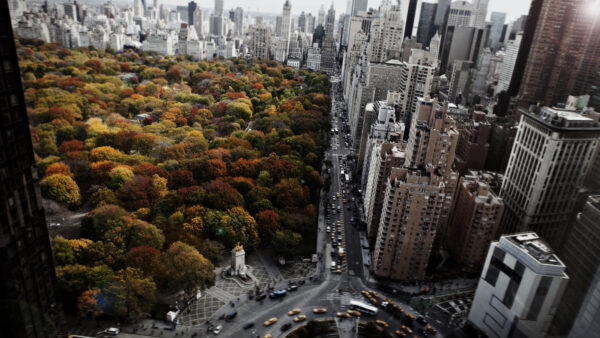 Wallpaper View, Trees, York, Mobile, Aerial, Cityscape, Desktop, New, And