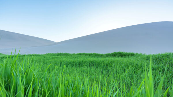 Wallpaper Mountains, Grass, Meadow, Green, Field, Nature, Hills, Mobile, Desktop