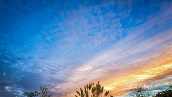 Wallpaper Sky, White, Yellow, Blue, Beautiful, Clouds