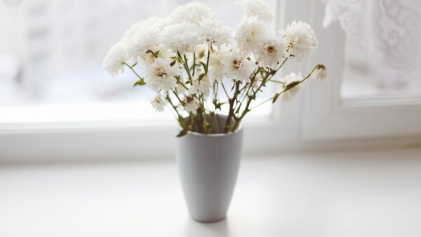 Wallpaper Desktop, White, Wallpaper