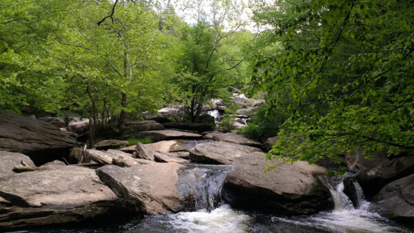 Wallpaper Rocks, Stream, Desktop, Mobile, Green, Nature, Trees, Water, Background, Forest