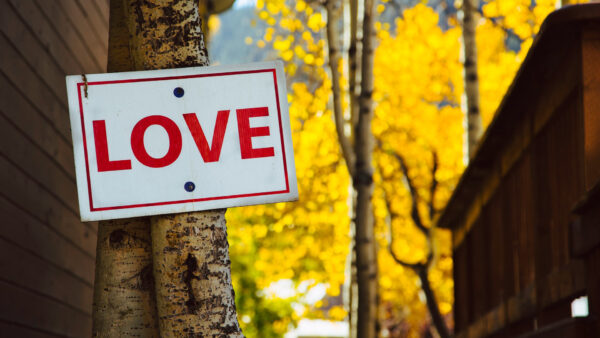Wallpaper Word, Hanging, Board, Love, Tree