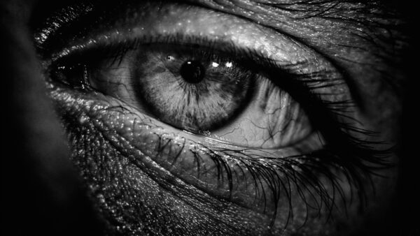 Wallpaper Eyes, White, Black, And, Closeup, Desktop, View