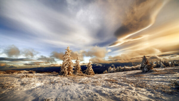 Wallpaper Winter, Landscape, Snow, Desktop