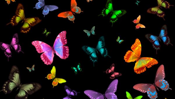 Wallpaper Black, Mobile, Background, Butterflies, Colorful, Desktop, Artistic