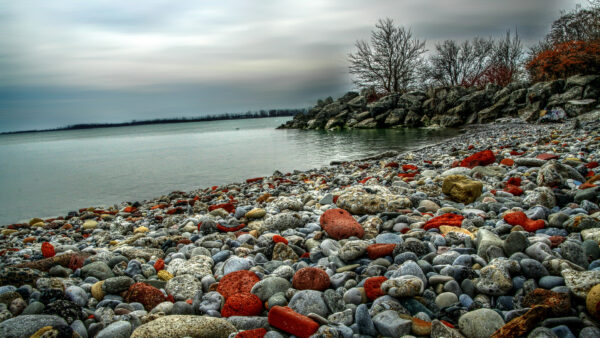 Wallpaper Trees, Pebbles, Nature, Colorful, Stones, Blue, Sky, Scenery, Lake, Under