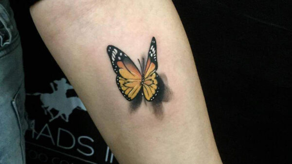 Wallpaper Butterfly, Black, Tattoo, Yellow, Arm