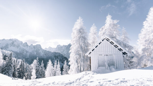 Wallpaper Sky, Hut, Sunny, Mountains, Trees, Day, Under, Covered, During, Snow, Winter, Blue