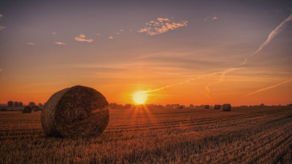 Wallpaper Sky, Field, Under, Nature, Haystack, Sunrise, During, Blue