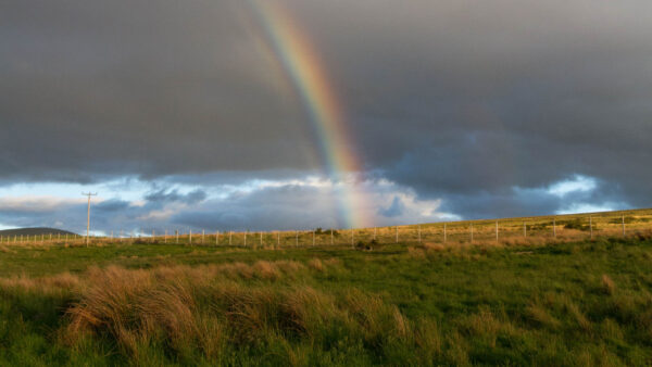 Wallpaper Field, Clouds, Green, Nature, Grass, Background, Dry, Rainbow