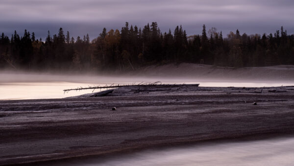 Wallpaper During, Fog, Trees, Nature, Nighttime, With, Ocean, Coast, Forest