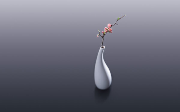 Wallpaper Vase, Flower
