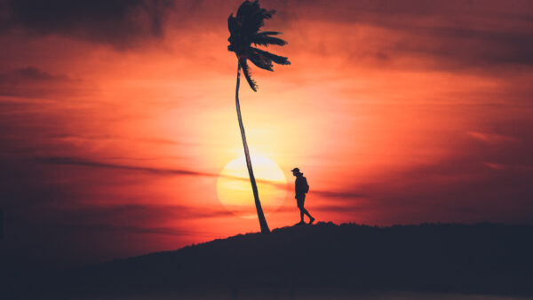 Wallpaper Silhouette, Sunset