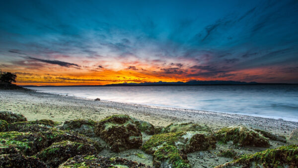 Wallpaper Evening, Above, Black, Cloudy, During, Time, View, Beach, Landscape, Yellow, Mobile, Ocean, Desktop, Sky