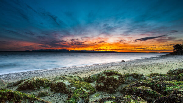 Wallpaper Beach, During, Sunset, Desktop, Mobile, Nature