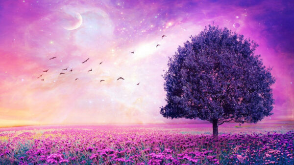 Wallpaper Plants, Clouds, Trees, Background, Purple, Sky
