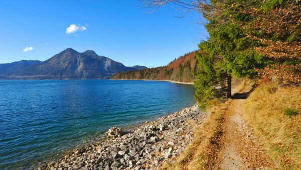 Wallpaper Desktop, Lake, Blue, And, Trees, Landscape, Shore, Rocks, Sky, Nature, Under, Mountain, Bavarian