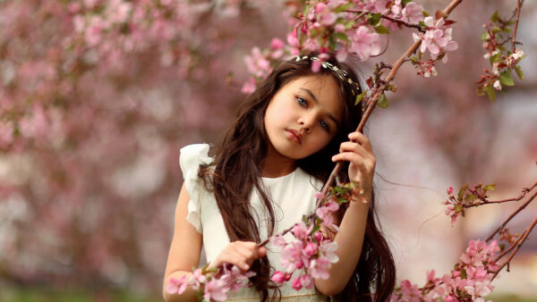 Wallpaper Girl, Branch, Dress, Touching, Eyes, Pink, White, Cute, Blur, Flowers, Wearing, Ash, Blossom, Desktop, Background, Flower, Little