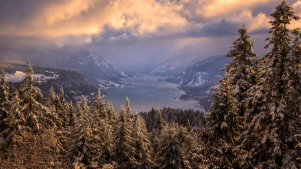 Wallpaper Landscape, Winter, Desktop, Forest, And, Fog, Mountain, Mobile