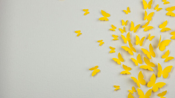 Wallpaper Desktop, Ash, Yellow, Background, Butterflies