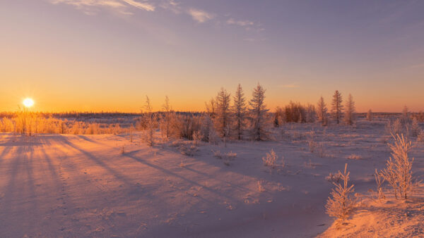 Wallpaper Landscape, Winter, Snow, Covered, Sky, Under, During, Sunset, Desktop
