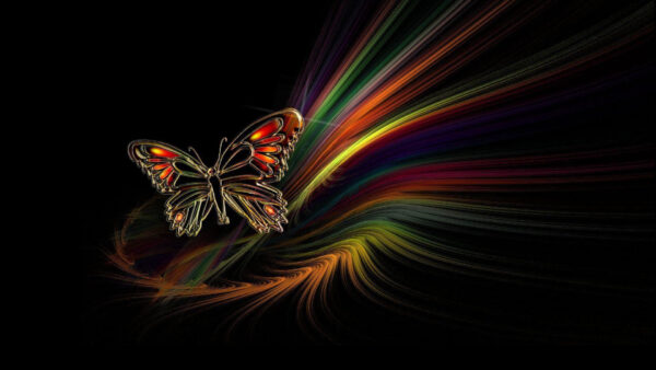 Wallpaper Butterfly, Cool, Colorful, Unique