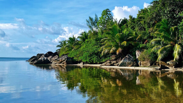 Wallpaper Sky, Reflection, Calm, Trees, Blue, Water, Nature, Body, Rocks, Under, And, Palm