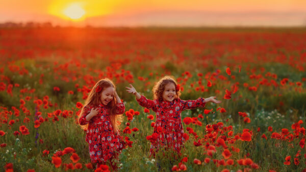 Wallpaper Common, Standing, Red, Smiling, Two, Are, Cute, Flowers, During, Girls, Little, Poppy, Sunset, Field