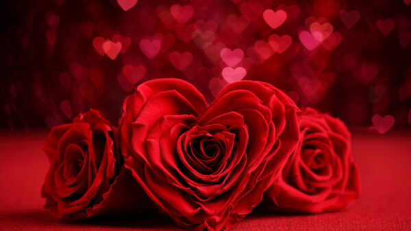 Wallpaper Shapes, Background, Red, Blur, Flowers, Heart, Rose, Bokeh