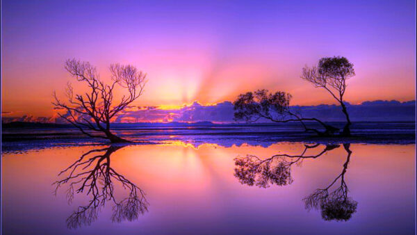 Wallpaper Sky, Nature, During, Water, Trees, Reflection, Clouds, Sunset, Purple, Yellow