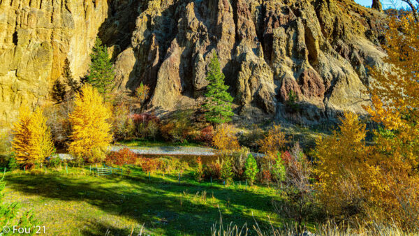 Wallpaper Trees, Nature, During, Grass, Rock, Colorful, Mountains, Daytime, View, Field, Autumn, Landscape, Sunlight