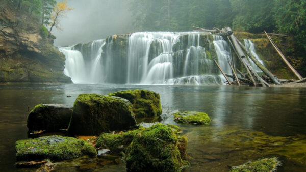 Wallpaper River, Forest, Covered, Algae, Beautiful, Waterfalls, Nature, Rocks, Background