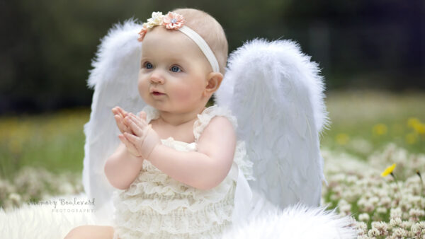 Wallpaper Baby, Wearing, Blur, Wings, Field, Girl, Background, Child, And, White, Dress, Sitting, Flowers, Cute