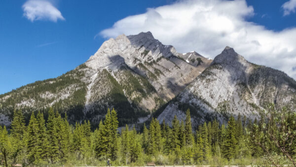 Wallpaper Blue, Sky, Green, Covered, Nature, Clouds, White, Slope, Trees, Background, Mountains