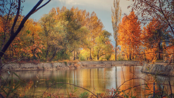 Wallpaper Sky, Orange, Landscape, Lake, Blue, Reflection, Background, Autumn, Green, View, Trees