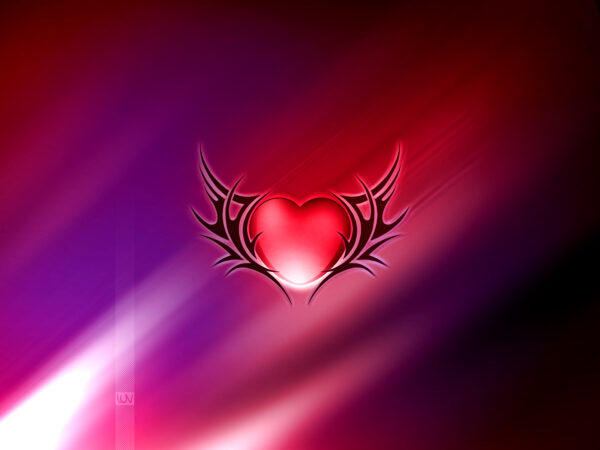 Wallpaper Love, Wings