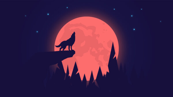 Wallpaper Wolf, Howling, Moon, Night