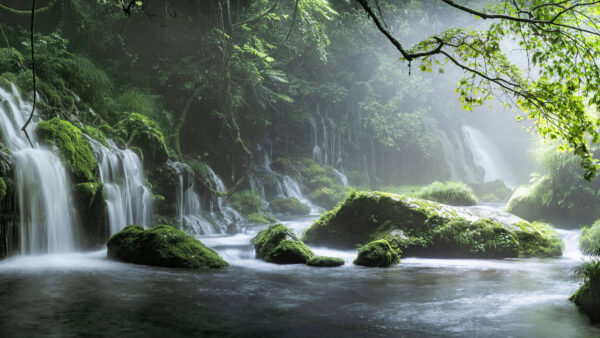 Wallpaper Mist, Green, Waterfall, Forest, Desktop, Fog, Mobile, Stone, Nature, Spring