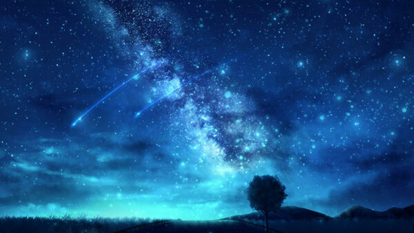 Wallpaper Starry, 4k, Tree, Mobile, Space, Sky